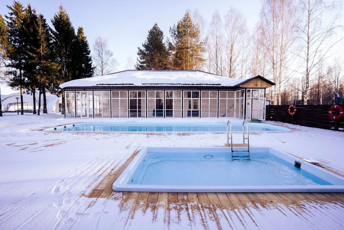 Laguna 4 — на участке в Владимире